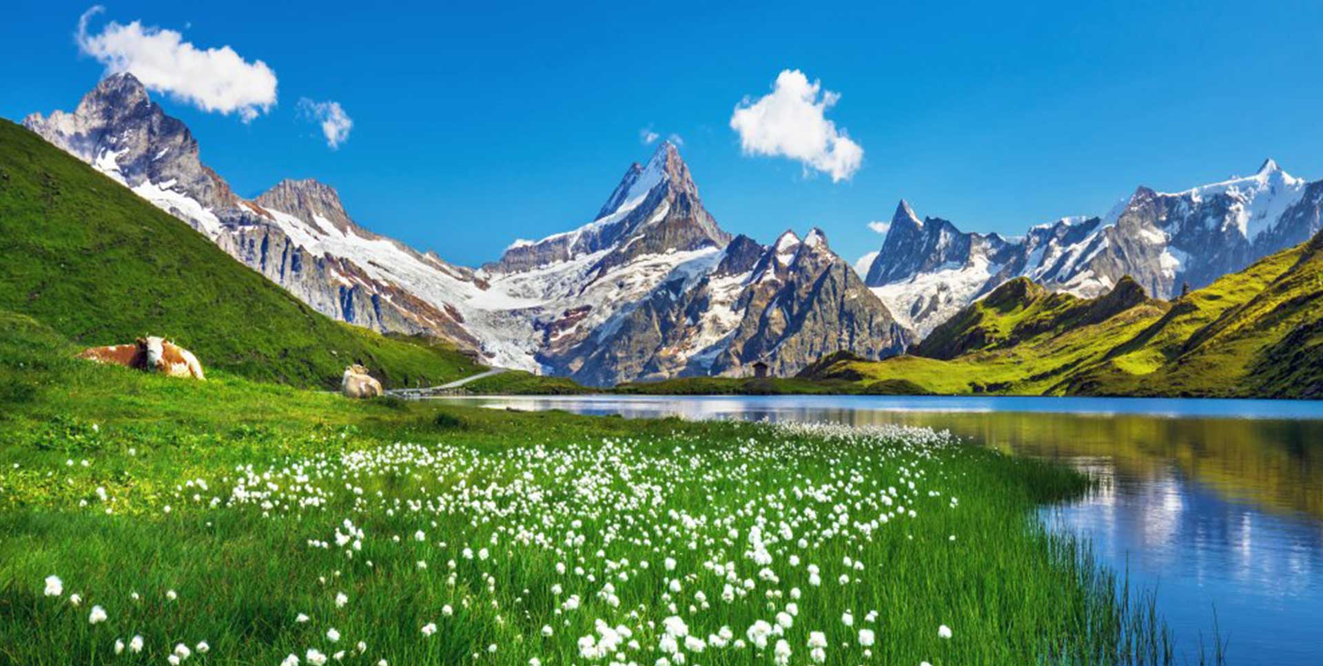 ボディケアサロンアルプス―ALPS―奈良メンテナンス整体　